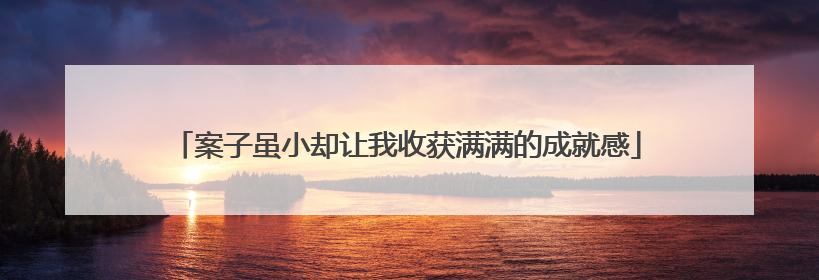 案子虽小却让我收获满满的成就感